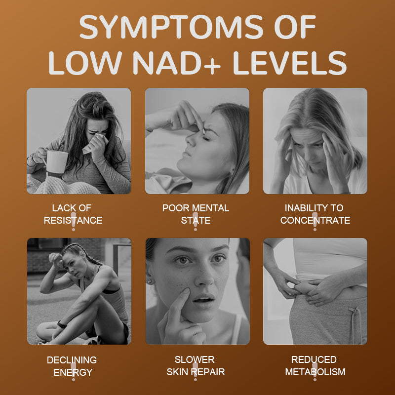 Nutrilake NAD+ Supplement For Women - Comprehensive Anti-Aging Support