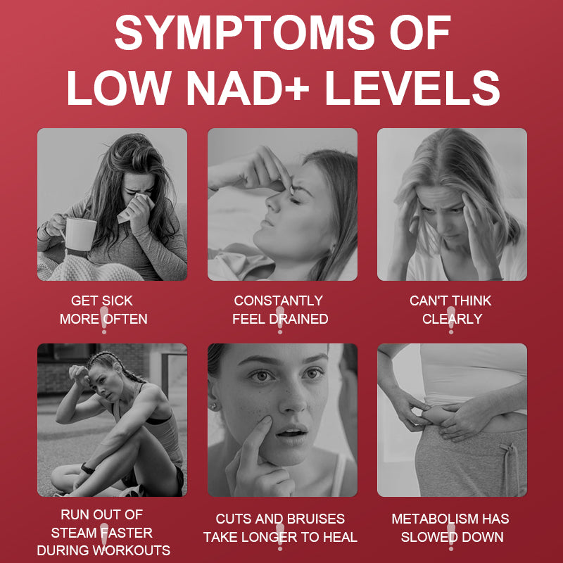 Nutrilake NAD+ Supplement for women